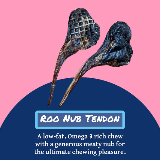 Roo Nub Tendon