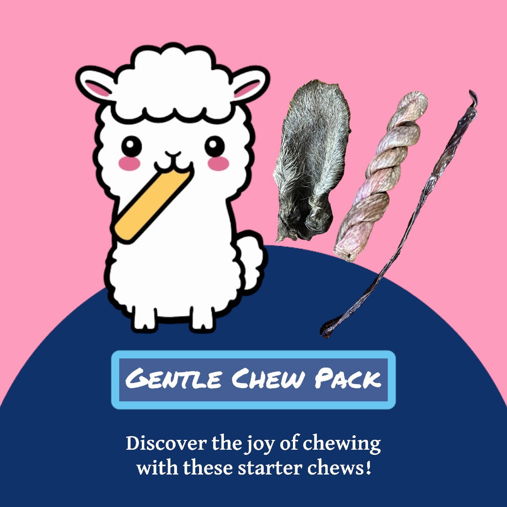 Gentle Chew Pack