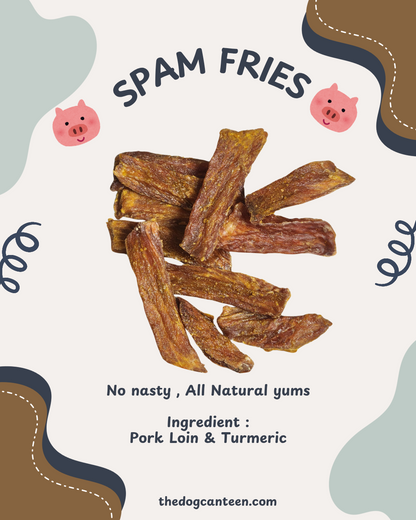 SPAM FRIES